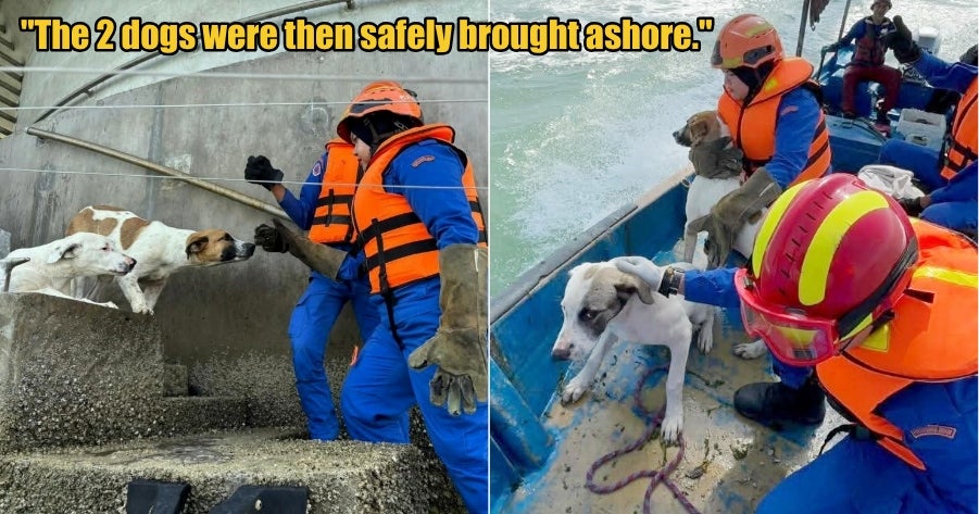 My Post 1 2026 03 09T103402.348