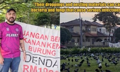 My Post 1 2026 03 13T153140.005