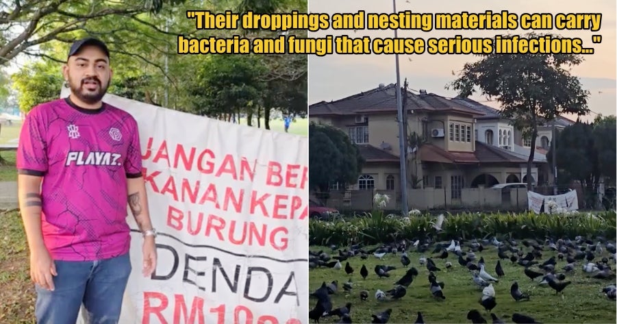 My Post 1 2026 03 13T153140.005