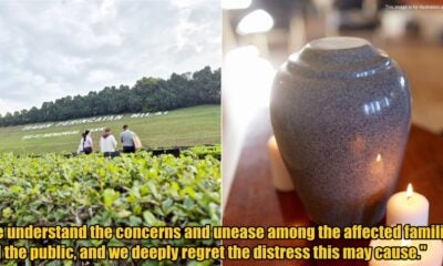 My Post 1 2026 03 19T104822.505