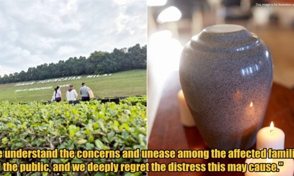 My Post 1 2026 03 19T104822.505