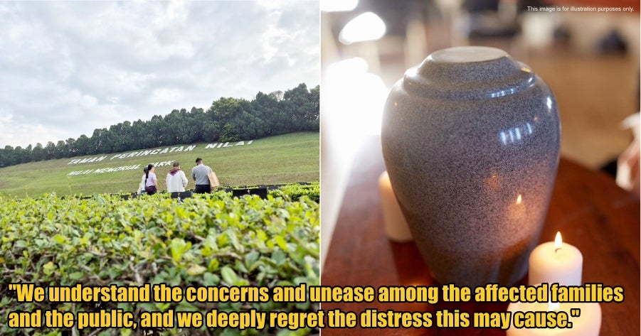 My Post 1 2026 03 19T104822.505