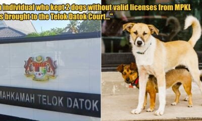 My Post 1 2026 03 20T124059.074