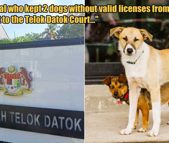 My Post 1 2026 03 20T124059.074