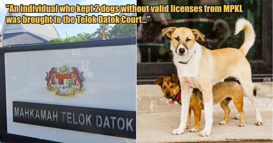 My Post 1 2026 03 20T124059.074