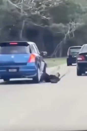 Screenshot 2026 03 01 131214