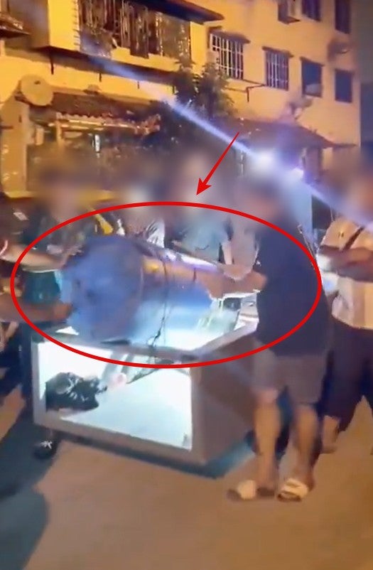 Screenshot 2026 03 03 154528