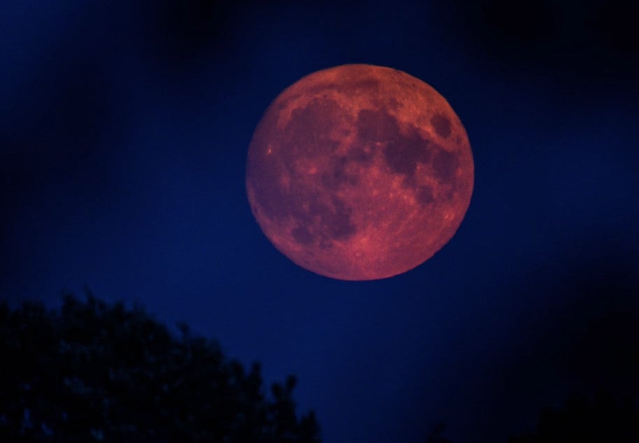 Screenshot 2026 03 03 At 11.42.50 Am