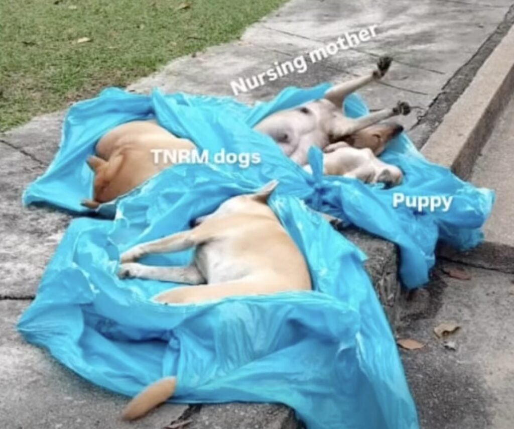 Screenshot 2026 03 04 At 11.40.30 Am