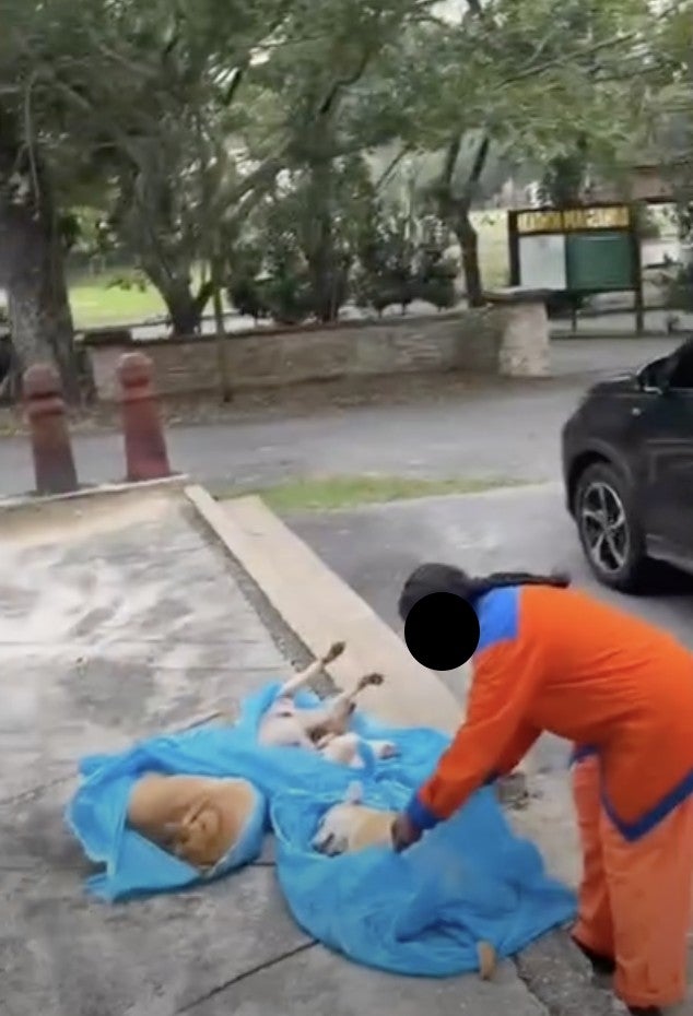 Screenshot 2026 03 04 At 11.41.44 Am