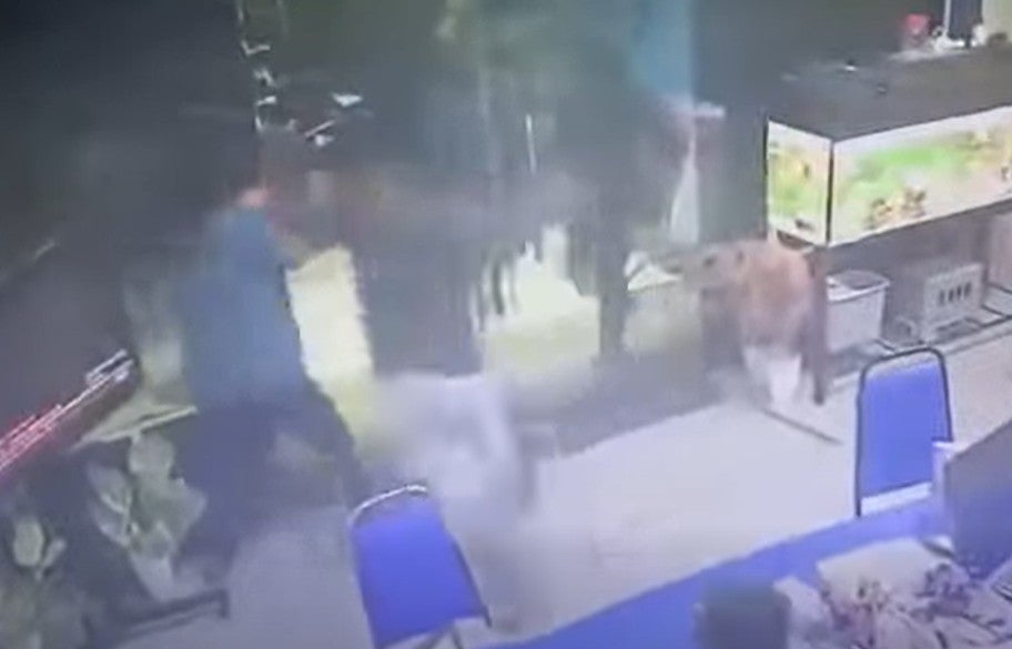 Screenshot 2026 03 05 141511