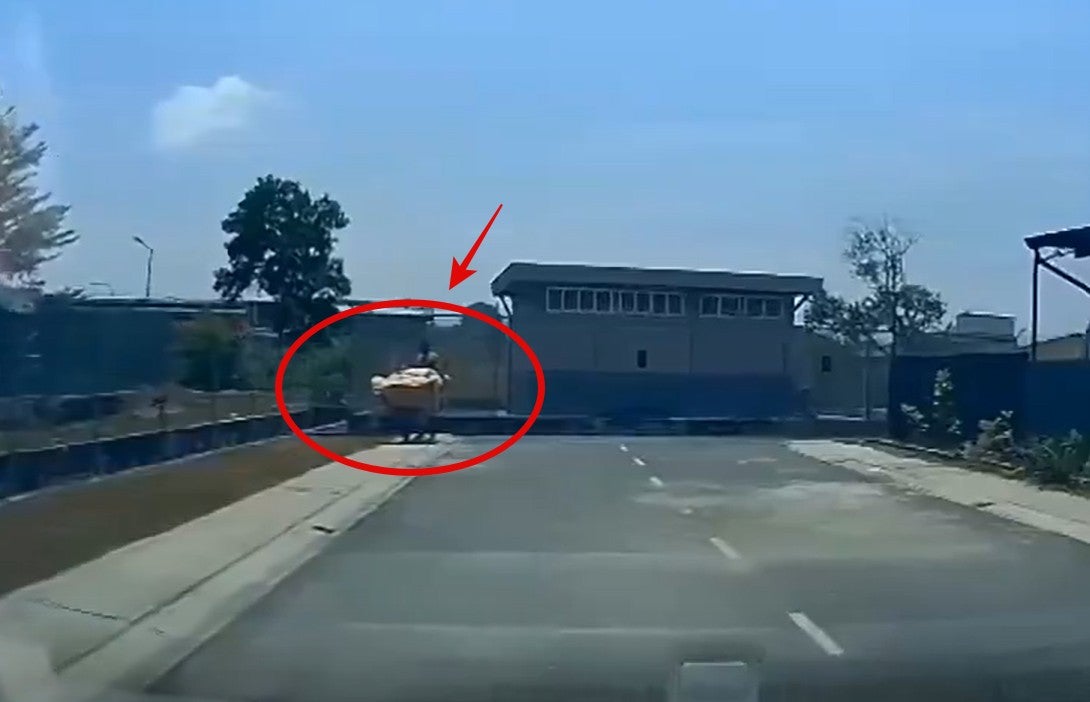 Screenshot 2026 03 06 120634 1