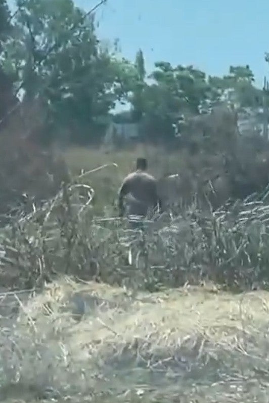 Screenshot 2026 03 06 120719