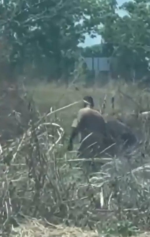 Screenshot 2026 03 06 120737