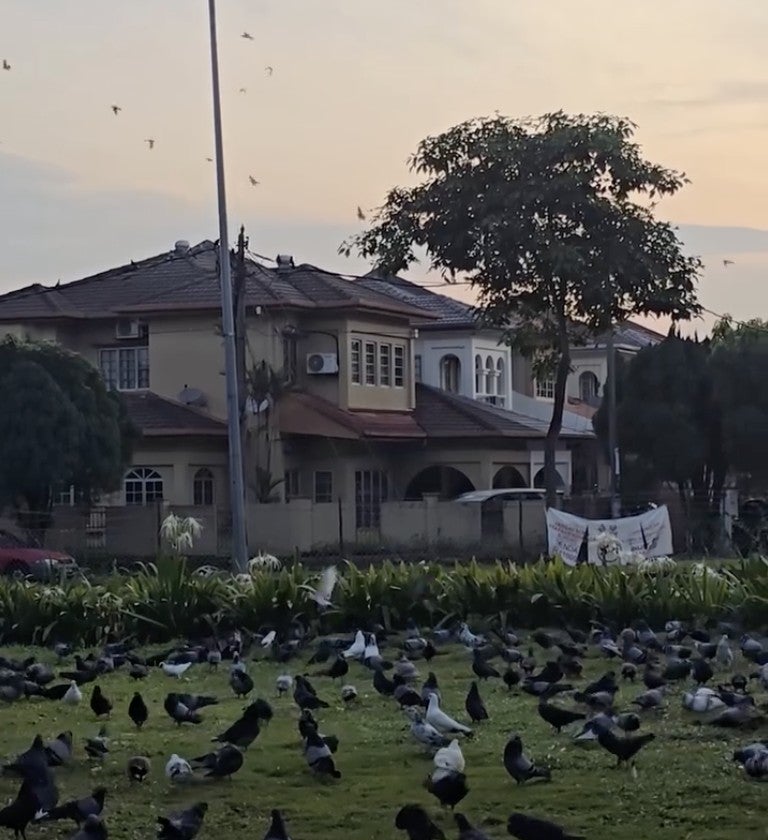 Screenshot 2026 03 13 At 3.28.48 Pm