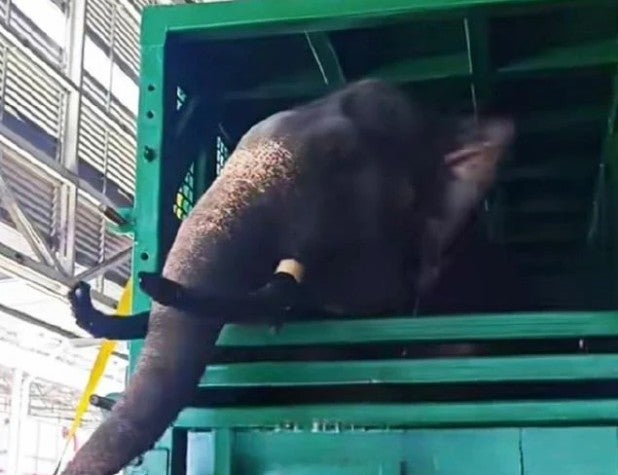 Screenshot 2026 03 17 162336