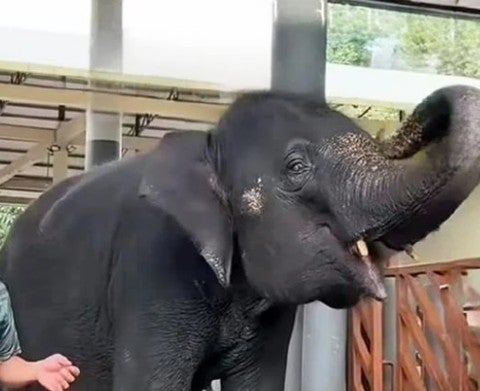 Screenshot 2026 03 17 162438