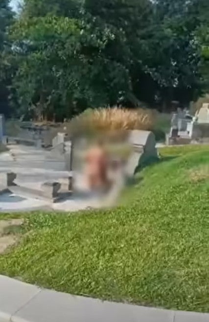 Screenshot 2026 03 23 100434