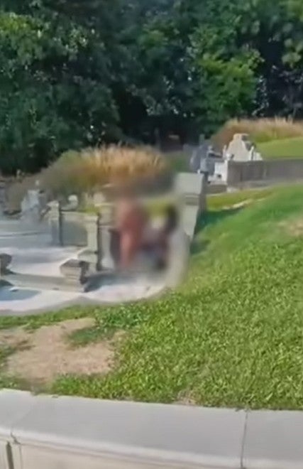 Screenshot 2026 03 23 100453