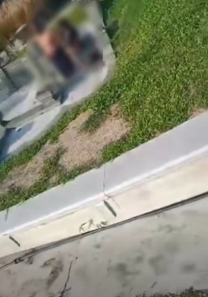 Screenshot 2026 03 23 100816