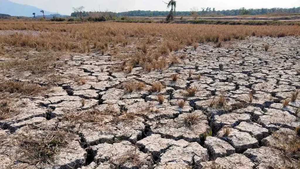 Tb Gelombang Haba Kedah Bernama 0