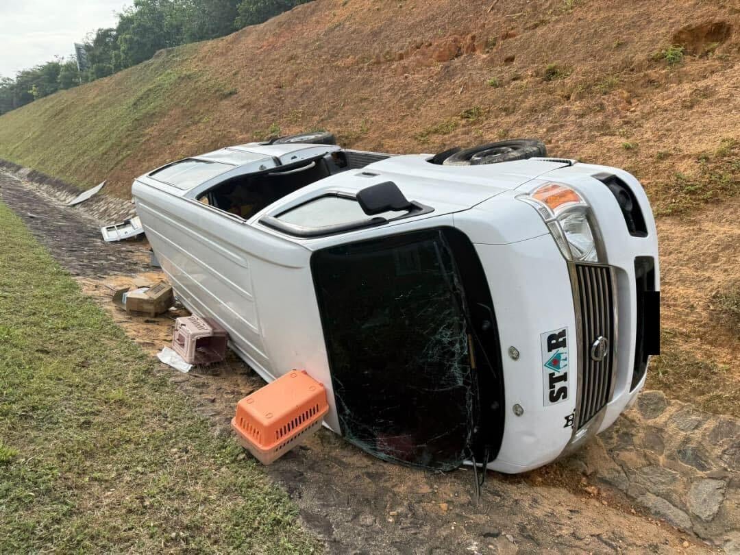 1D5D3D5E 4587 4B80 B9D7 9B16A2C533C2