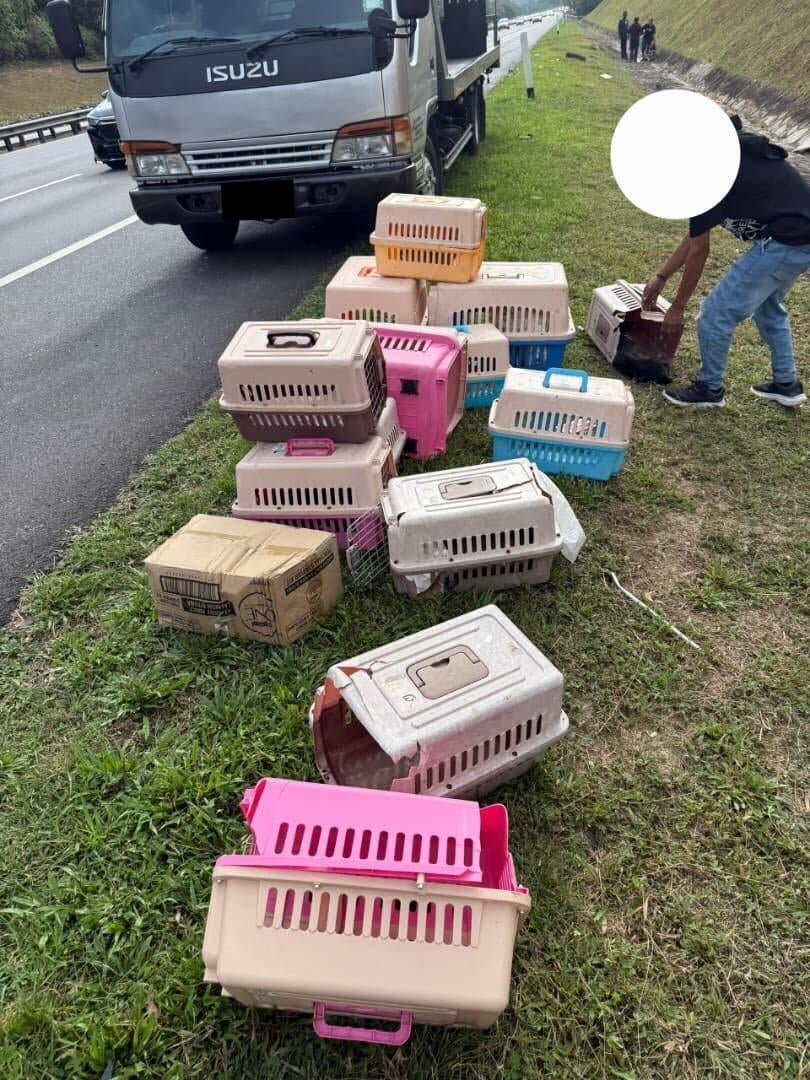 1Eb9Acfd 3Fb1 4385 A35D 0F1Ca5Fa9322