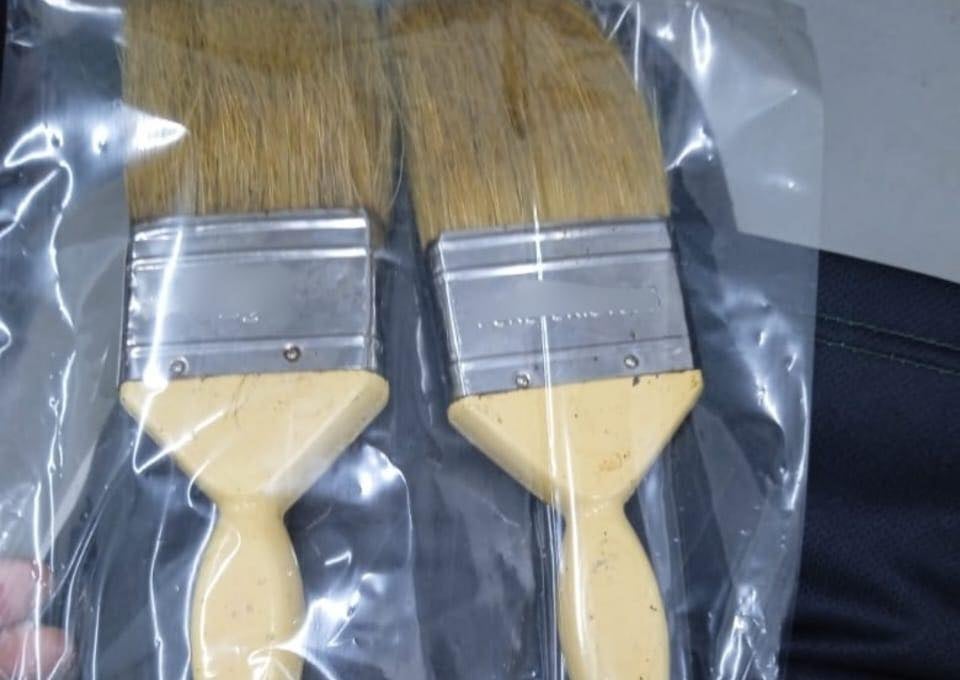 659538715 1558793246255367 6068302371711470305 N