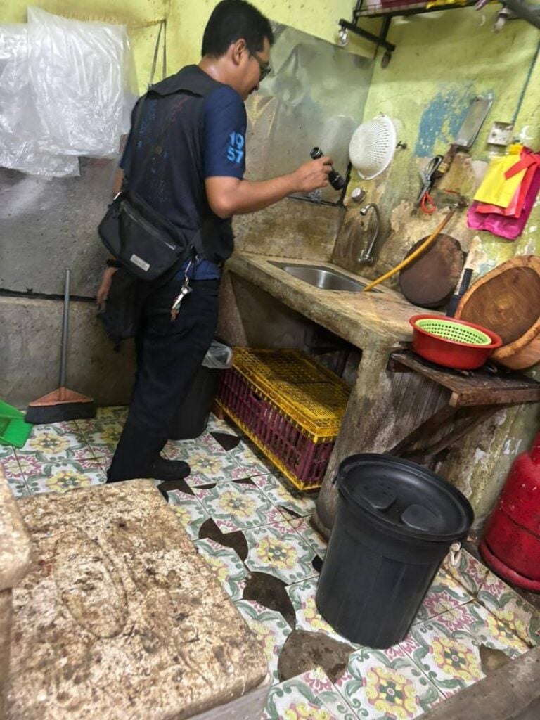 666200351 1505008661187818 6628987712978870767 N 1