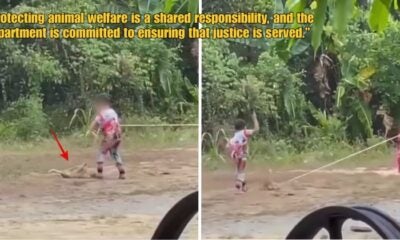 Dd Ft 2026 04 01T102708.411