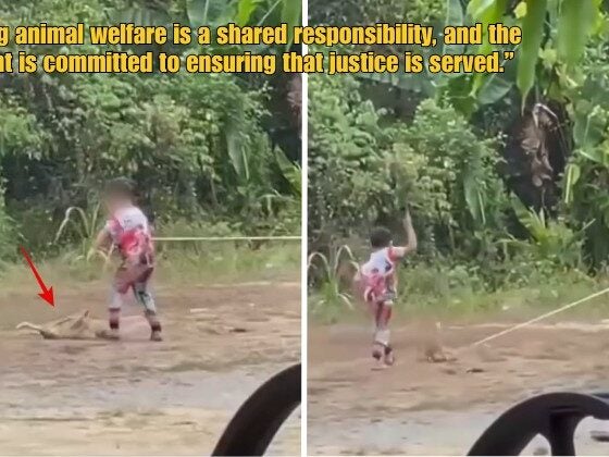 Dd Ft 2026 04 01T102708.411