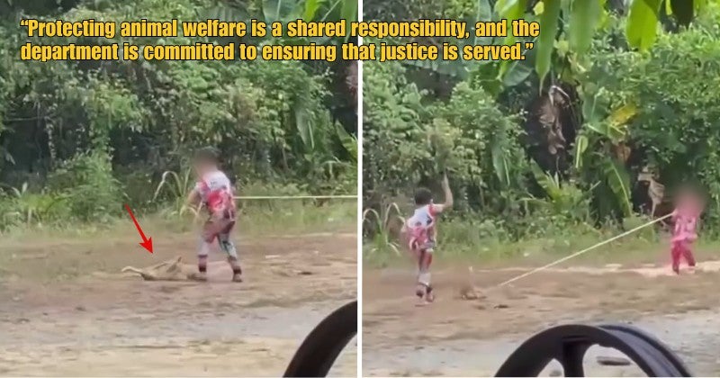 Dd Ft 2026 04 01T102708.411