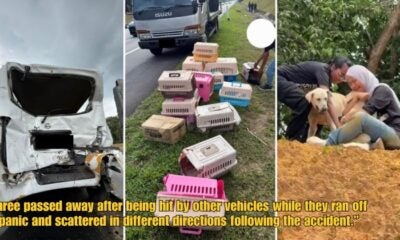 Dd Ft 2026 04 14T103154.774