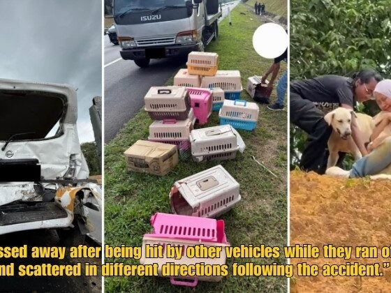 Dd Ft 2026 04 14T103154.774