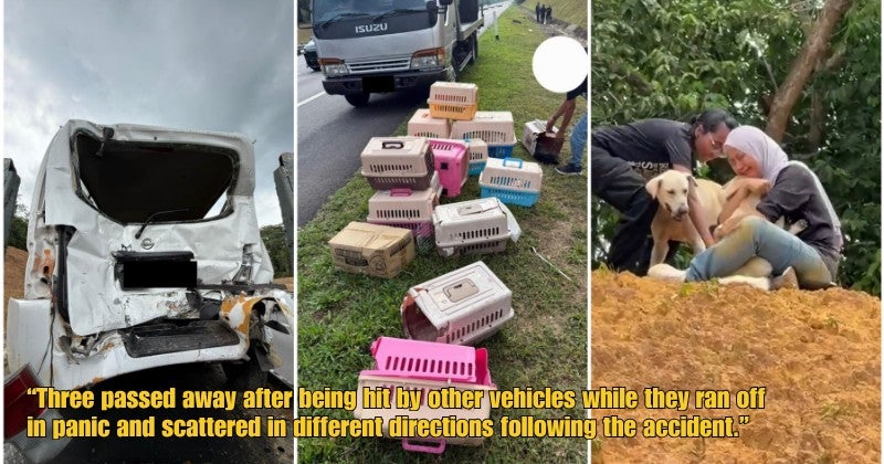 Dd Ft 2026 04 14T103154.774