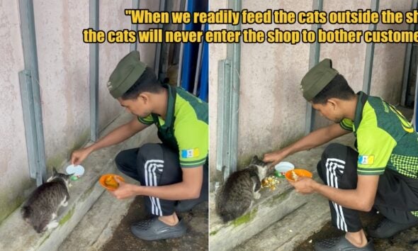 My Post 1 2026 04 07T121507.809