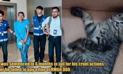 My Post 1 2026 04 07T165806.605