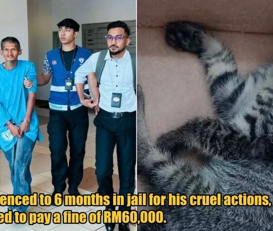 My Post 1 2026 04 07T165806.605