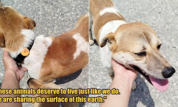 My Post 1 2026 04 09T145721.093