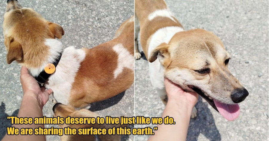 My Post 1 2026 04 09T145721.093