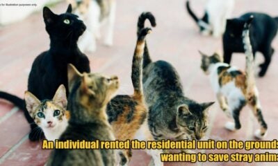 My Post 3 2026 04 10T114201.937