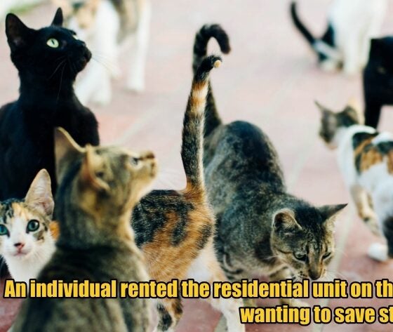 My Post 3 2026 04 10T114201.937