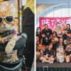 Petexpo26 Header 1