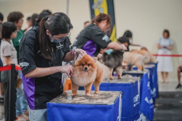 Petexpo26 Pet Grooming Dsc08764