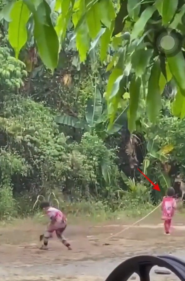 Screenshot 2026 04 01 100152