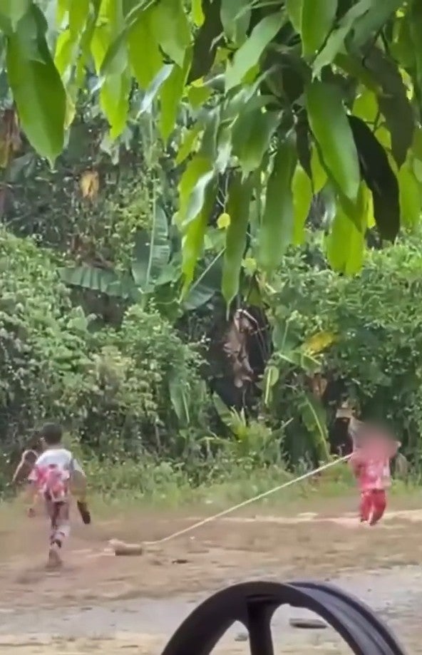 Screenshot 2026 04 01 100215