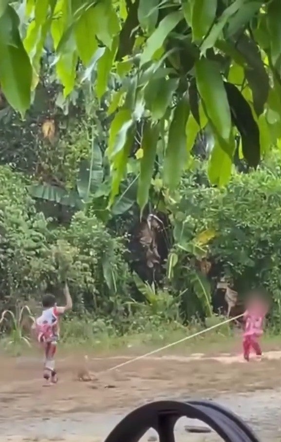 Screenshot 2026 04 01 100236