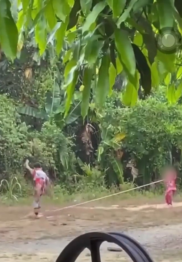 Screenshot 2026 04 01 100257