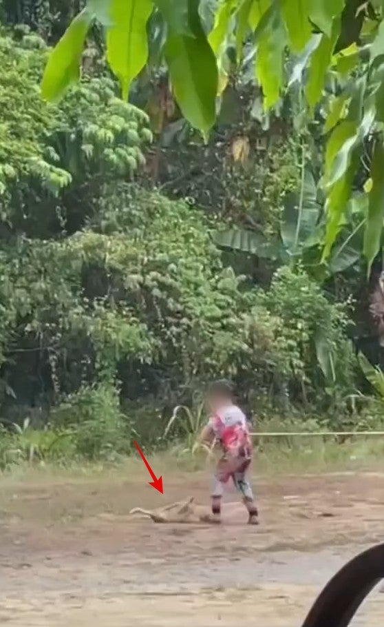 Screenshot 2026 04 01 100318