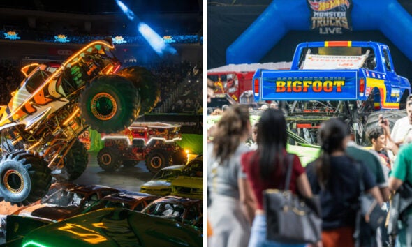 Hotwheels Header